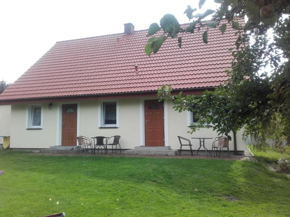 Agroturystyka Pod Kogutkiem Czysta Kültér fotó