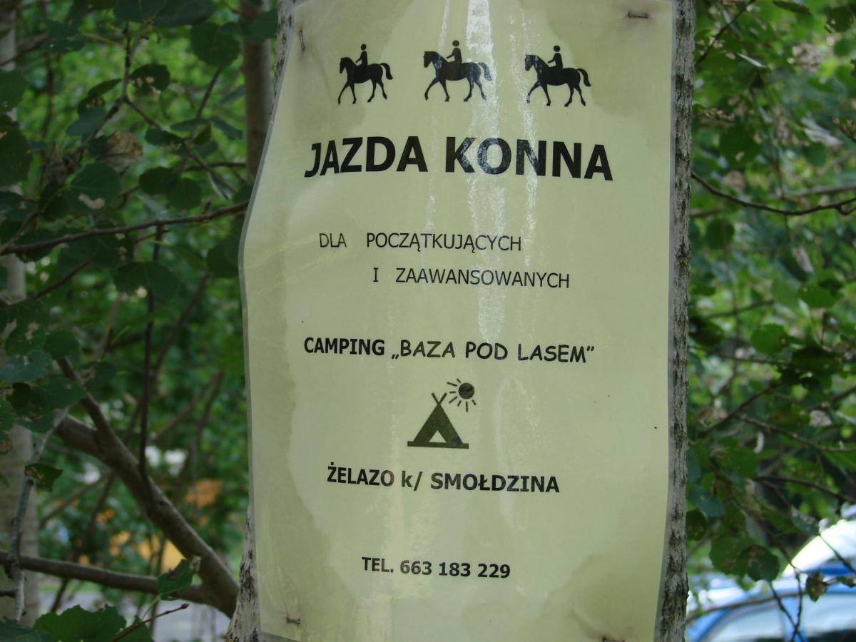 Agroturystyka Pod Kogutkiem Czysta Kültér fotó