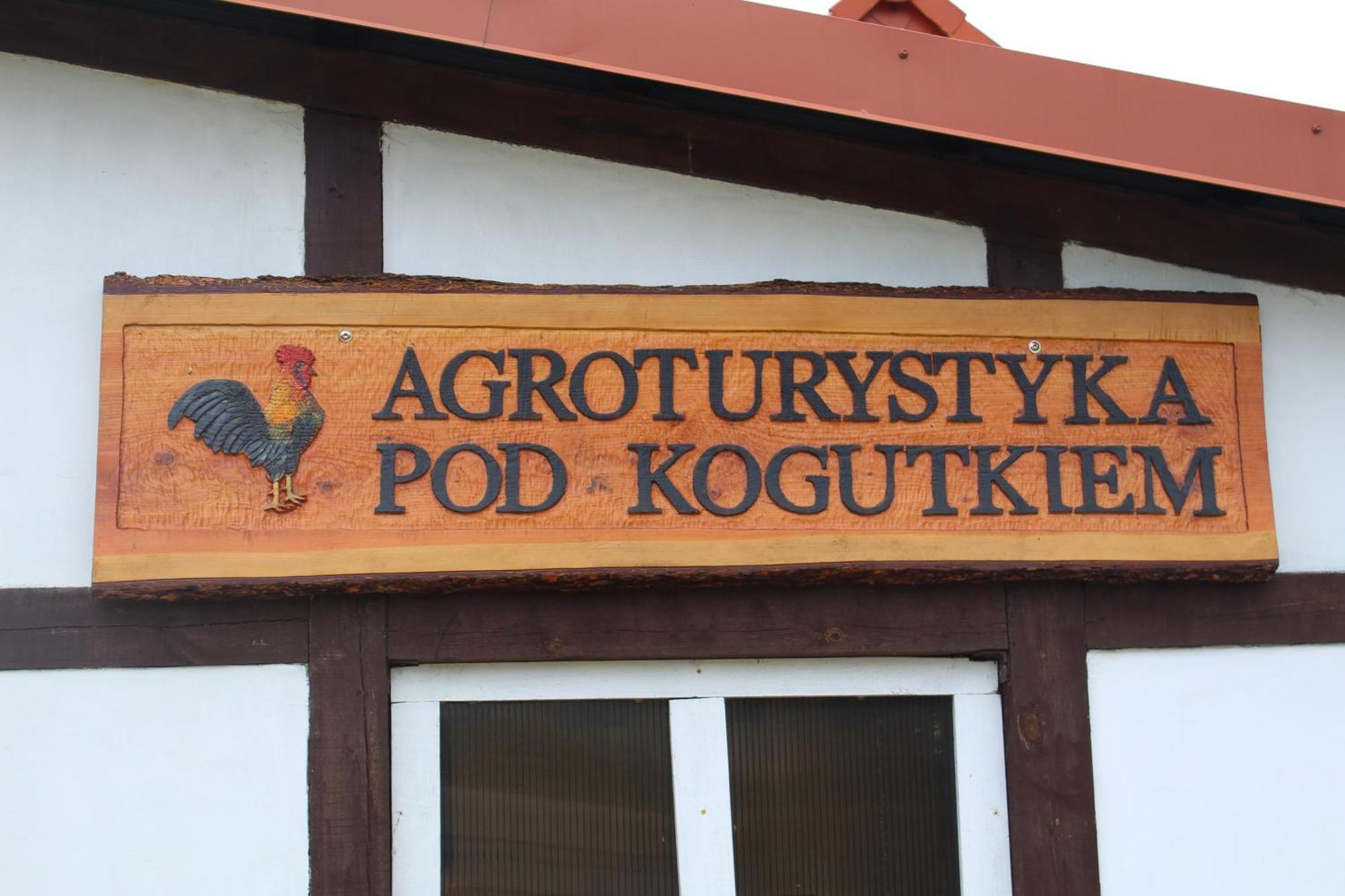 Agroturystyka Pod Kogutkiem Czysta Kültér fotó